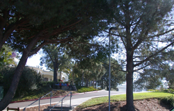 Theosphical Society Homestead site today