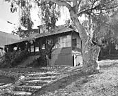 Then, 1975