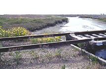 Coronado Railroad (1888)