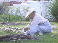 Lawrence Ko
