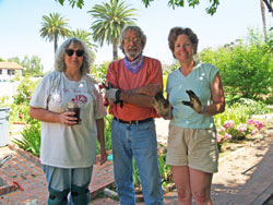 Three gardeners
