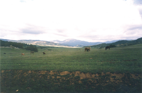 Rancho Guejito