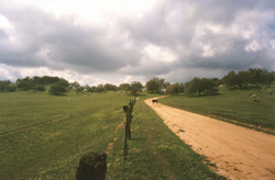 Rancho Guejito