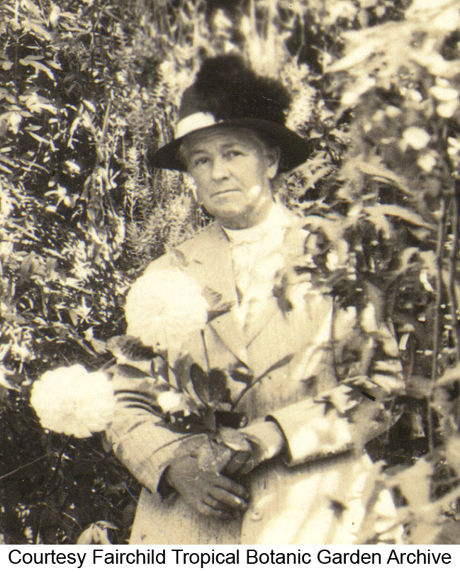 Kate Sessions in 1919