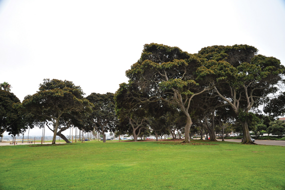 Mission Bay Park