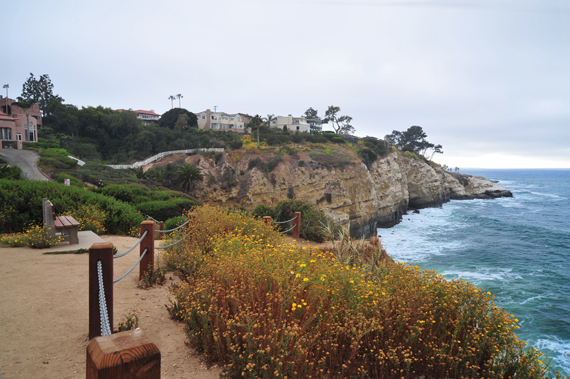 Along the Coast Walk above the cliffs