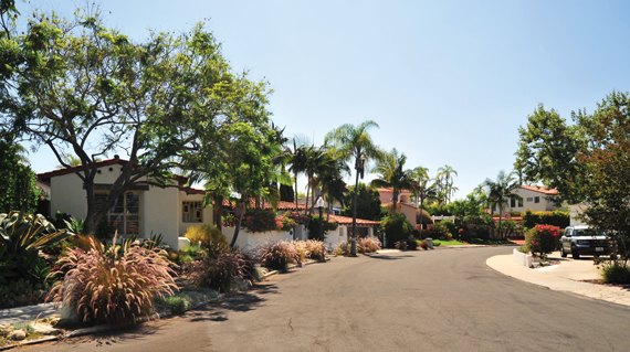 Norma Drive streetscape