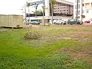 January, 2004, weeds and home to a dumpster